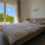 Apartament Domino *