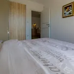 Apartman Domino